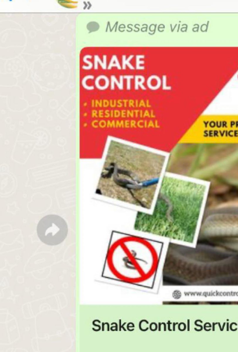 If anyone comes across snake control  AD by any pest control service, u can report to #wildlife. Snakes are not considered as pests & should not be treated like one . I reported today. Immediate action is taken & AD is taken off. #AnimalWelfare , #Bangalore , #Wildlifeprotection