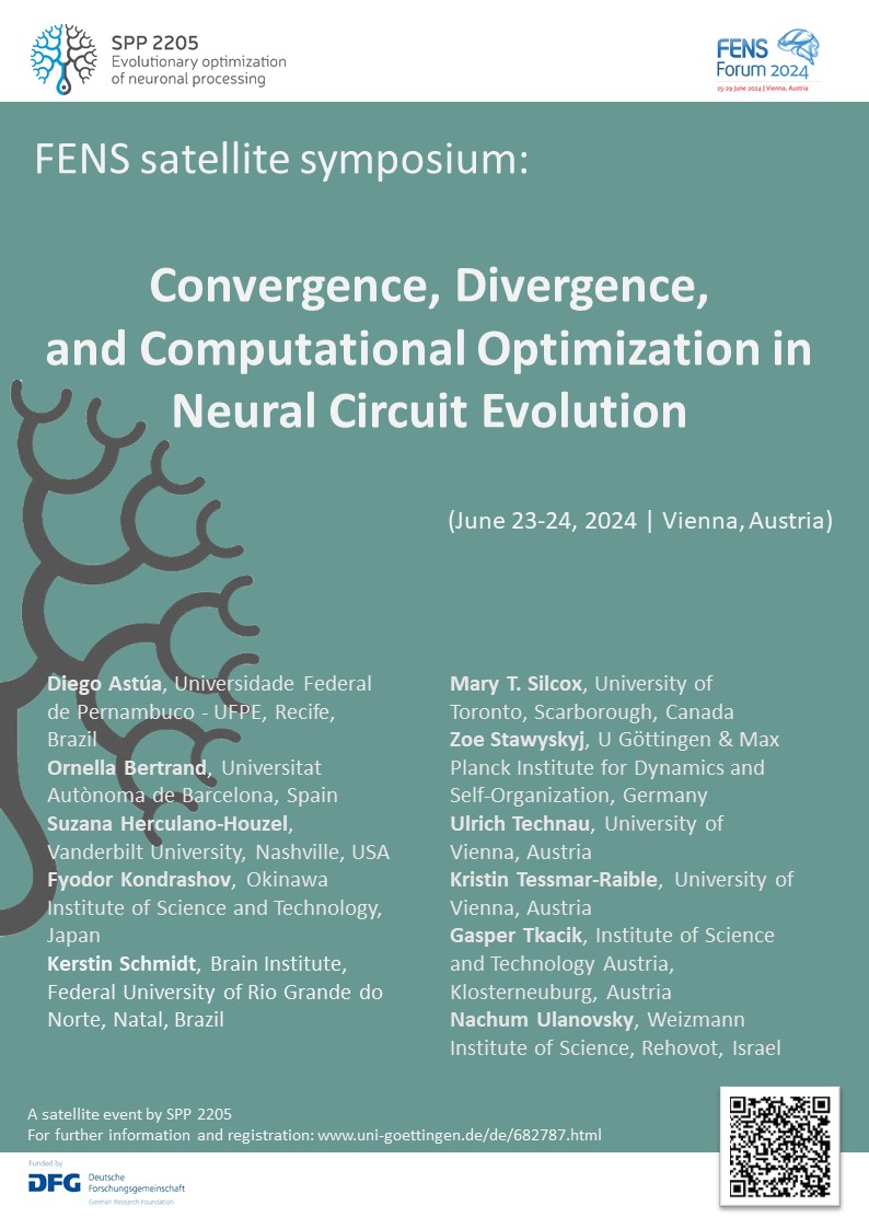 Happy to announce that @spp2205 is hosting a #FENS2024 satellite symposium (Jun 23-24, 2024, Vienna) Details &amp; registration on uni-goettingen.de/de/682787.html
#neuroscience #evolution #brain #Vienna #compneuro #neurotheory