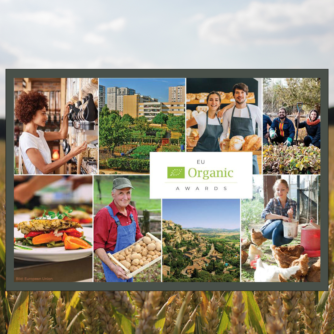 🏆Akteure aus der #Biobranche können sich mit ihren Projekten für die #EUOrganicAwards bewerben.

Gesucht werden innovative, nachhaltige &amp; übertragbare Ansätze, um das Wachstum des #Bio-Sektors zu steigern.

📅Bis 12.5. bewerben!

oekolandbau.de/landwirtschaft…