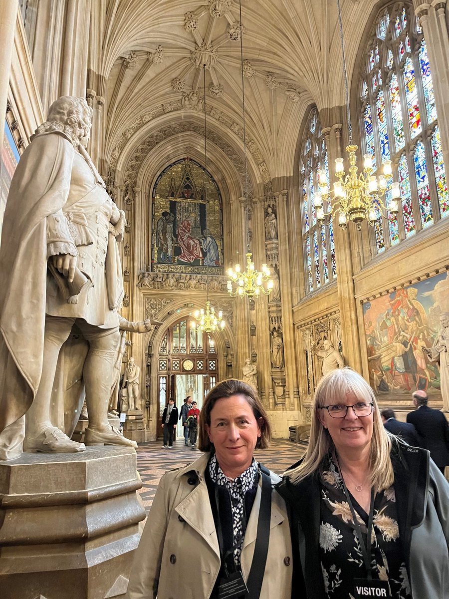 Yesterday, @ClareRcm spoke at the @UKHouseofLords Preterm Birth Inquiry, shedding light on the state of maternity services and advocating for vital changes. Joined by colleagues from @NeonatalNurses and @RCObsGyn and @BirteLam #MaternityCare