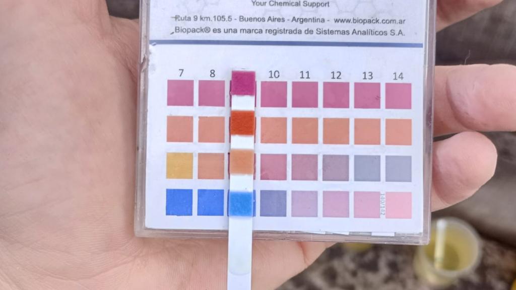 nutralmix_srl's tweet photo. #Preparto 🍚 El uso de sales aniónicas es una excelente estrategia para disminuir el riesgo de hipocalcemia ¡Y una forma de controlar si la dosis es apropiada es monitoreando el pH urinario! 🧪
🎯 Un 90-95% de las muestras deben estar con valores dentro del rango de referencia. https://t.co/ey8HMXCBwL