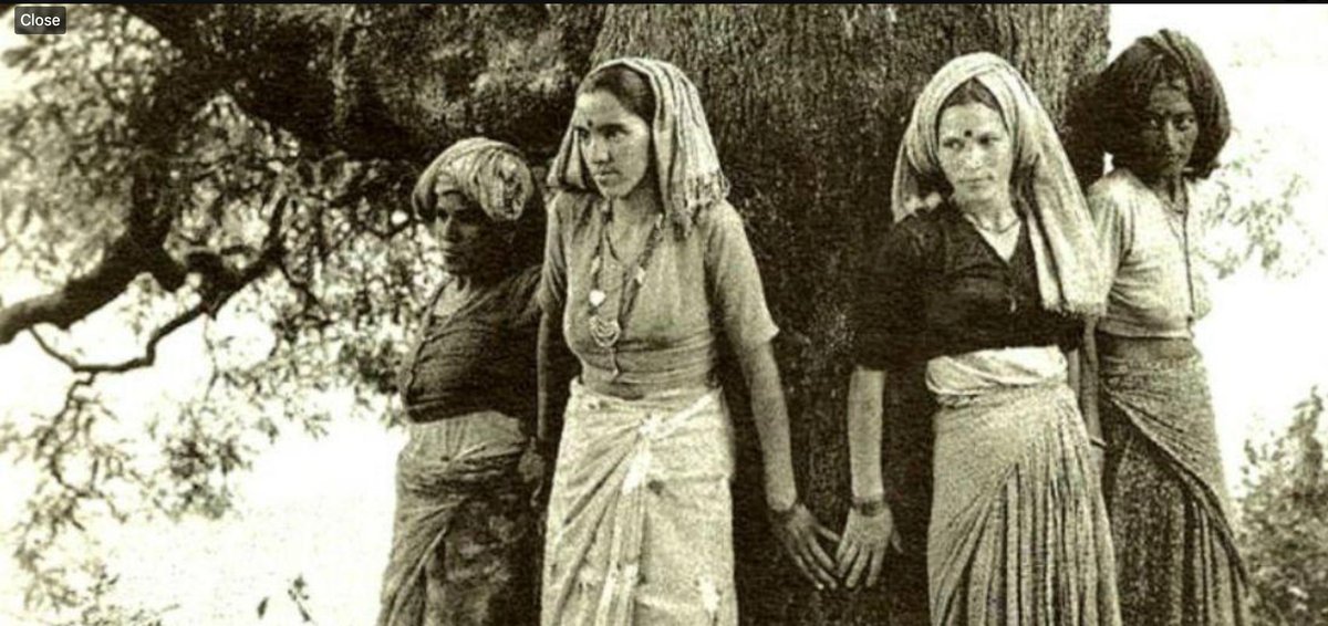 Today marks 50 years since Gaura Devi of Reni village in Chamoli dist, #Uttarakhand & her fearless companions stared down the barrel of a gun, refusing to allow the contractors men & employees of forest dept to butcher the forest they called home. More on bit.ly/50YearsOfChipko