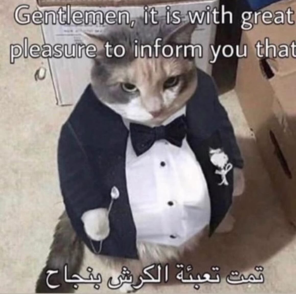 🏴 𐩱𐩡𐩸𐩠𐩧𐩱𐩬𐩺 tweet media