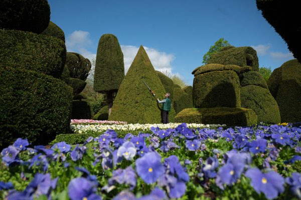 M&N Horticulture (@mn_horticulture) on Twitter photo The inaugural #topiary awards are open now countrylife.co.uk/gardens/the-in… via <a href="/Countrylifemag/">Country Life</a> #gardens #awards The inaugural #topiary awards are open now countrylife.co.uk/gardens/the-in… via <a href="/Countrylifemag/">Country Life</a> #gardens #awards