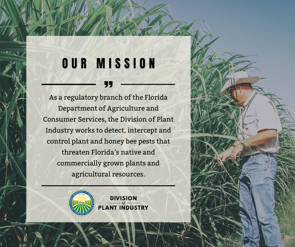 Need a reminder about what we do at FDACS-DPI? Whether our staff are out in the 🌾 field, in the 🔬 lab, or at the 🏢office, we are all dedicated to advancing our organization's mission to protect and preserve Florida's 🌴 natural and 🚜 agricultural resources!
