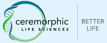 Ceremorphic's Life Sciences Division is pioneering drug discovery with its BioCompDiscoverX. The integration of our proprietary analog and AI technology is a true paradigm shift, accelerating human cell emulation and revolutionizing drug development. buff.ly/3P9pRoN