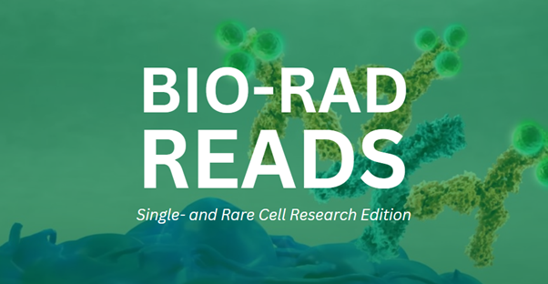 Optimizing your antibody panel design is a critical step for successful CTC enumeration that relies on the selection of suitable antibodies and subsequent determination of the optimal antibody concentration to use. Learn how ow.ly/jCSm50R2iWj

#CelselectSlides #CTC