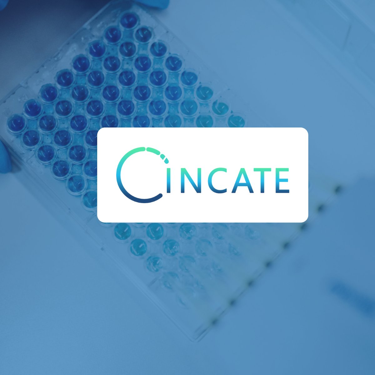 📢 INCATE is now open to antifungal initiatives! If you have a start-up | project | initiative in antifungals that fits our criteria, we want to help you! Fill in our form and tell us how we can help you move your project forward 👉incate.net/contact/ #amr #antifungals