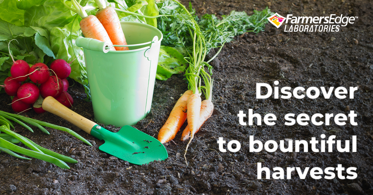 Ready to elevate your vegetable garden game? Discover the secret to bountiful harvests with #FELabs Garden Soil Testing! Our comprehensive soil analysis ensures your soil is optimized for maximum vegetable growth and nutrition. Visit farmersedge.ca/laboratory to learn more!