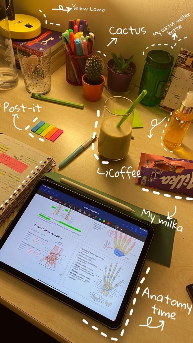 mistydly's tweet image. ˚˖𓍢ִִ໋🌊🦈˚˖𓍢ִ✧˚. Matérias de Biologia que caem no ENEM