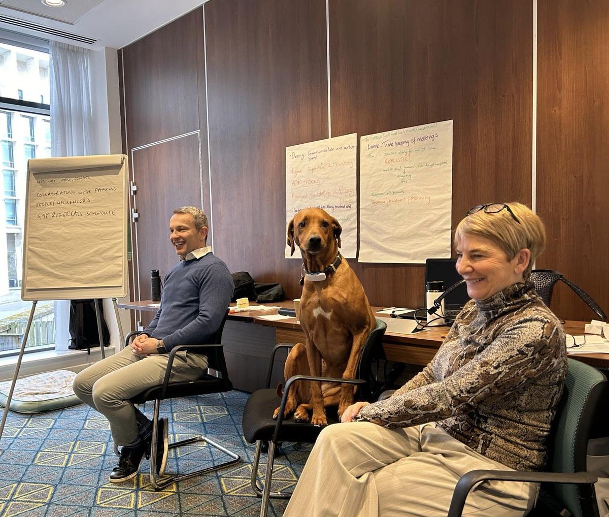 beamortho's tweet photo. 🌟 Team Beam just leveled up! 🚀 Spent an amazing day with #FittingLeadership working on bringing you even better orthodontic care &amp; experience. 🦷✨

PS: We can clearly see who brought the doggie treats. 🐾 #BeamOrthodontics #TeamBuilding #CustomerLove" https://t.co/OlS3RcNESy