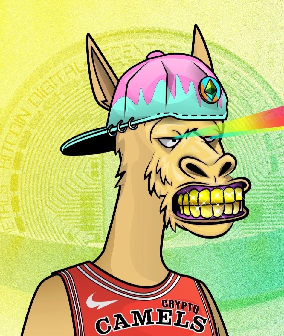 DigitalPalm's tweet image. ‼️Auction in DP headquarters‼️ 

Rank 9 Crypto Camel 💎🐫

Holding a Top 10 ranked NFT from either Gen 1 or Gen 2 collections puts you into an exclusive club, where you get a monthly share of 5% from our #CoreBit validator. 

Someone could bag themselves a bargain 😱😱