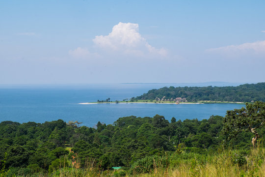 ExploreMasaka's tweet photo. Buggala Island in Kalangala District is the 10th largest lake island in the world. With an area of 106sq mi, it is also the 2nd largest island in Lake Victoria, after Tanzania's Ukerewe Island, &amp; the 3rd largest in Africa, after Ukerewe DRC's Idjwi.
#VisitSsese 
#ExploreMasaka🇺🇬 https://t.co/CxFJlGiwDq