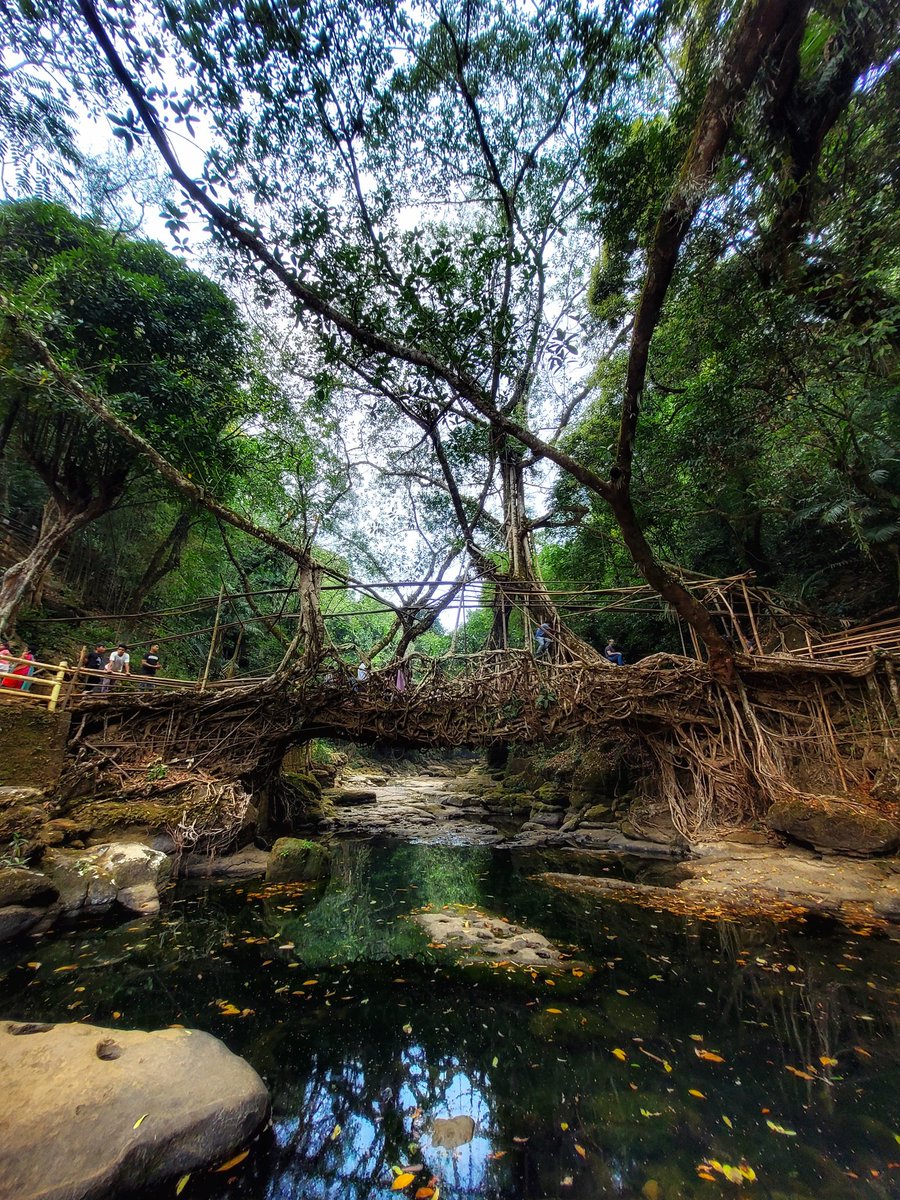 MayukhRoy7's tweet photo. Mawlyllong living root tree bridge

#Travel #NaturePhotography #nature #travelphotography https://t.co/vAmo3rba2U
