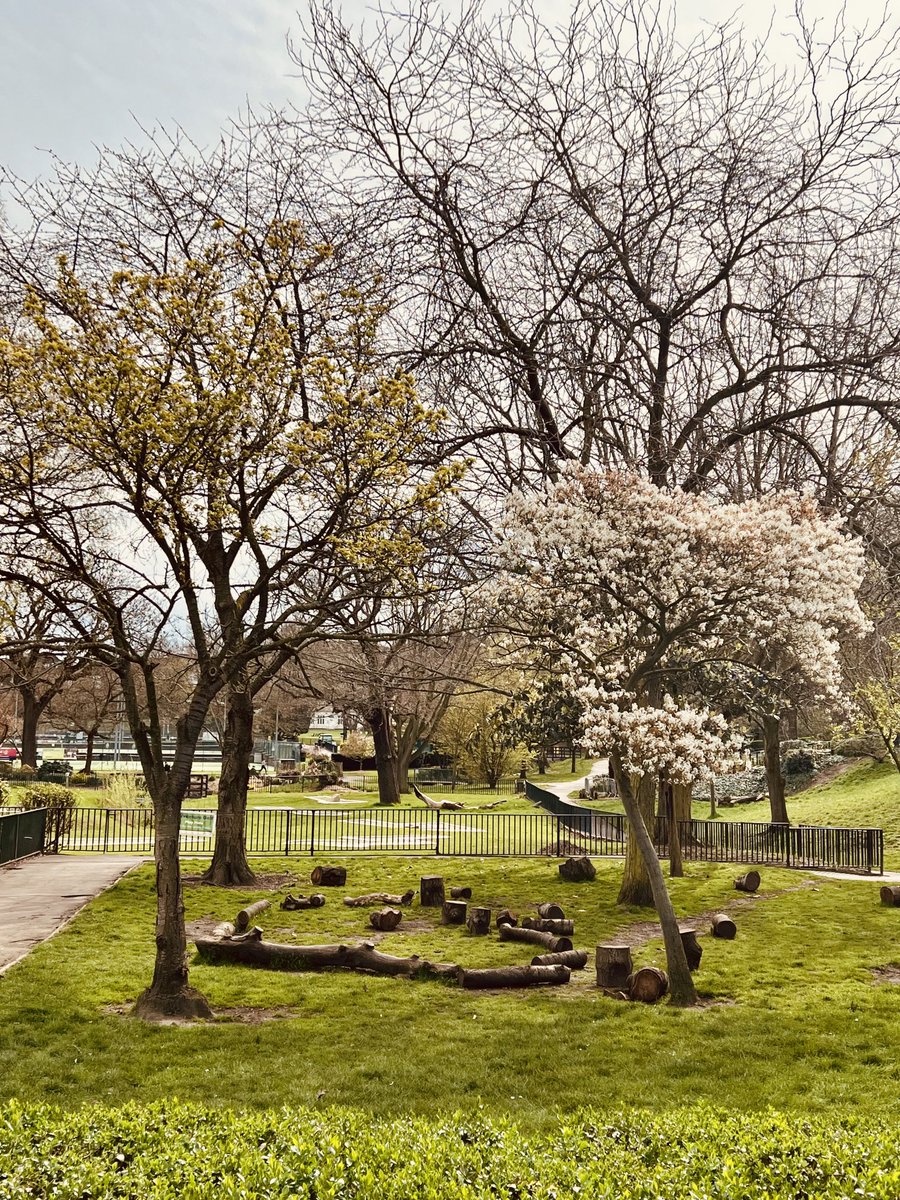 WimbldnPark's tweet photo. #WimbledonPark in bloom https://t.co/Ni1UUSOSm9