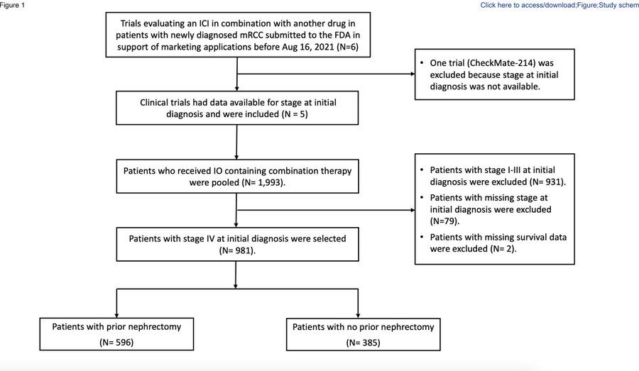 ⚡️ Cytoreductive nephrectomy in the era of immune checkpoint inhibitors: a U.S. FDA pooled analysis 

#KidneyCancer #Immunotherapy

buff.ly/4cygdWQ