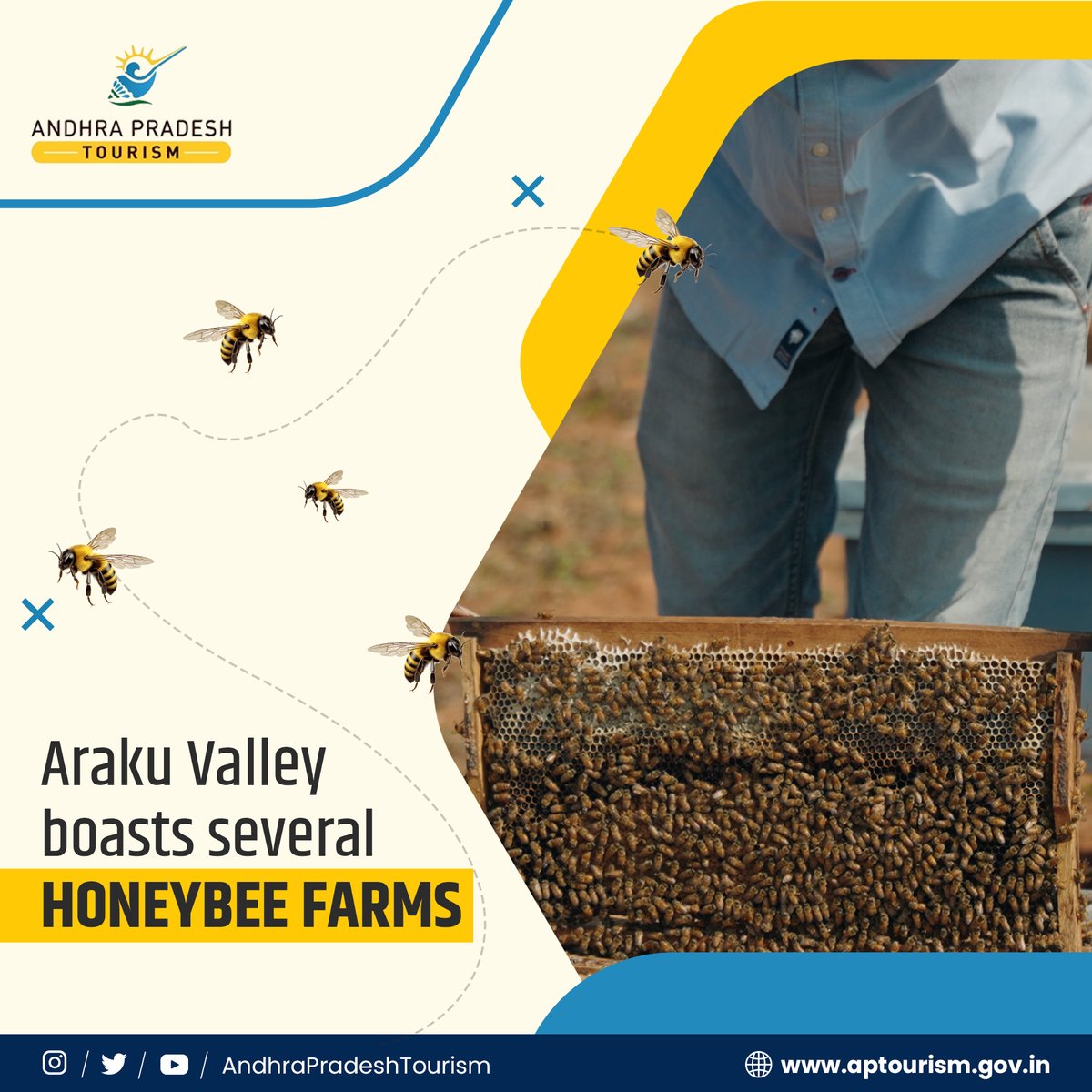 Buzzing Adventures in Araku Valley🌼 🐝 Take a sweet journey into the heart of Araku Valley as we explore the fascinating world of honey bee farming. 🌸 Discover sustainable beekeeping practices against the picturesque backdrop of Araku's lush landscapes.