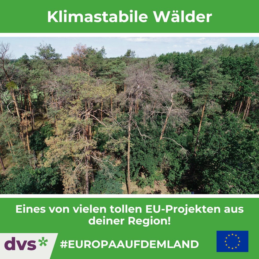 👉 #EuropaAufDemLand
Das fördert die #EU in deiner ländlichen Umgebung  

Das heutige #Projekt aus #Brandenburg zielt auf klimastabile #Wälder für die Region #ElbeElster.

Mehr zum Projekt &amp; zur EU-Projekte-Aktion:
dvs-gap-netzwerk.de/europaaufdemla…

#Wald #Klimawandel #Waldschutz #Klima