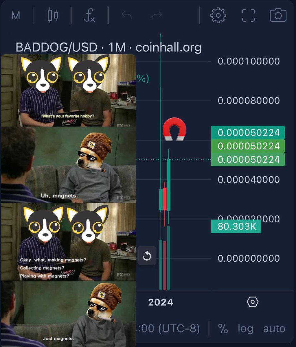 Chihuahuawifhat tweet media