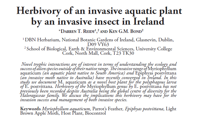 New research w/ Ken Bond just out in Irish Naturalist @InjJournal. When the non-native range of an invasive plant & insect converged in Ireland, we observed (for the 1st time) the Myriophyllum genus being used as a host by the invasive pest E. postvittana. irishnaturalistsjournal.org/back-issues/vo…