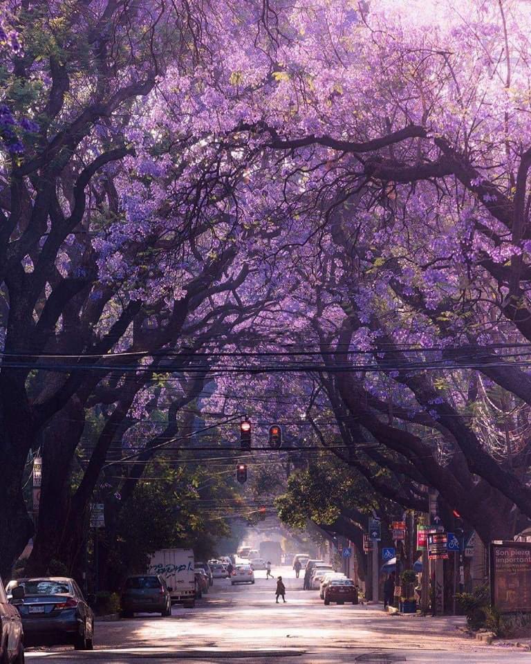 El Club del Arte 🎨📷📚🖼🕍🎼 tweet media