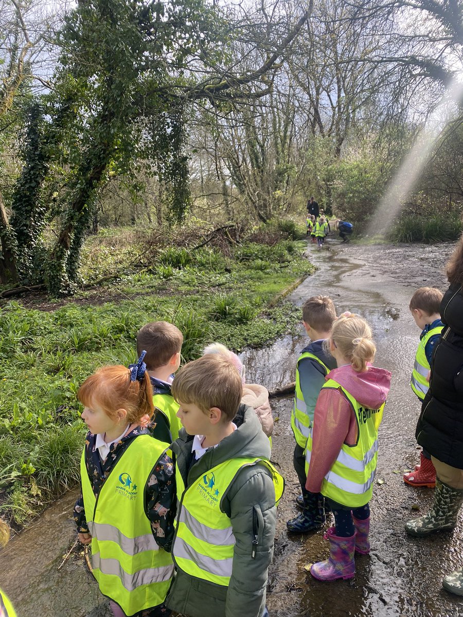 Mr Warren (@teachwithmrw) on Twitter photo What a beautiful start to the day exploring our local woodland! 🌱🐝🌳🐞🐛 <a href="/MarineAcademy/">Marine Academy Primary</a> <a href="/xhannahrowex/">Hannah Rowe</a> @ What a beautiful start to the day exploring our local woodland! 🌱🐝🌳🐞🐛 <a href="/MarineAcademy/">Marine Academy Primary</a> <a href="/xhannahrowex/">Hannah Rowe</a> @