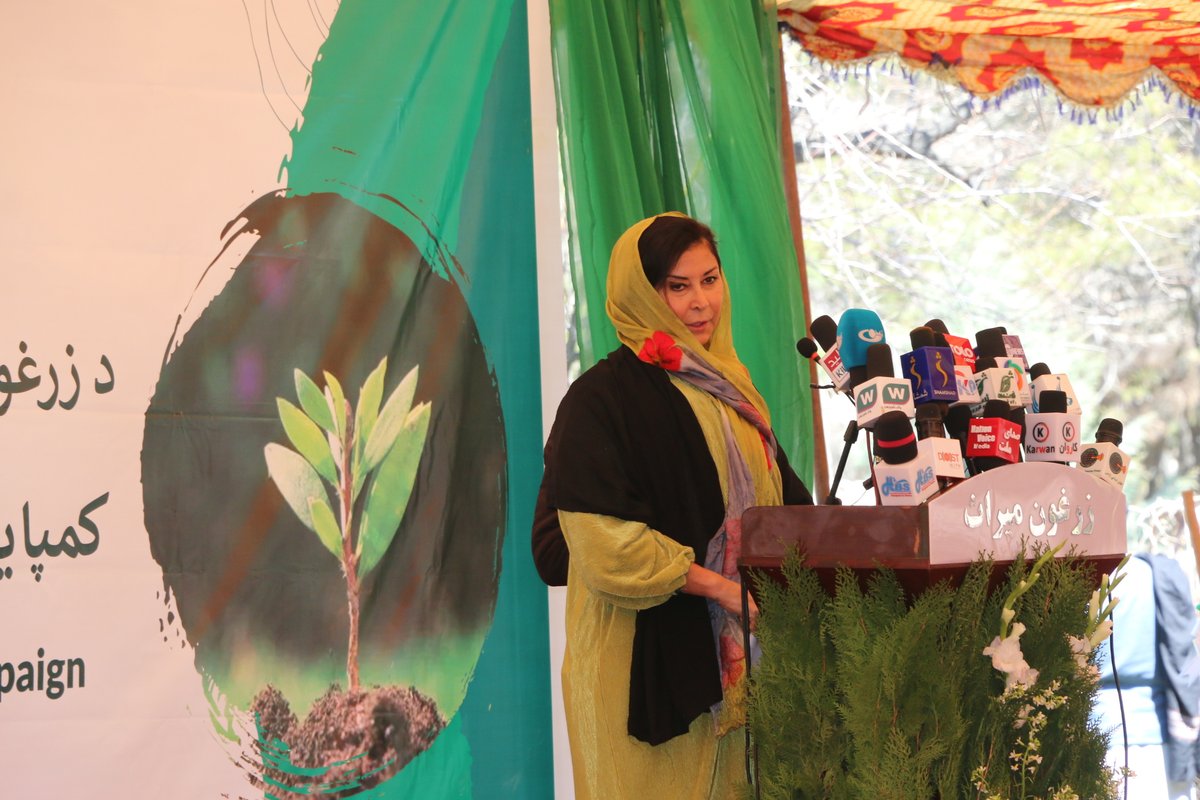 CECOP_AFG's tweet photo. Honored to have SRSG from @UNAMAnews &amp; @EUCdAtoAFG join us at Kabul Polytechnic University on 25 March for our tree plantation campaign! 
Together, we're planting the seeds for a sustainable future. 
#CECOP #Afghanistan #SustainableFuture https://t.co/V2EJYYamDB