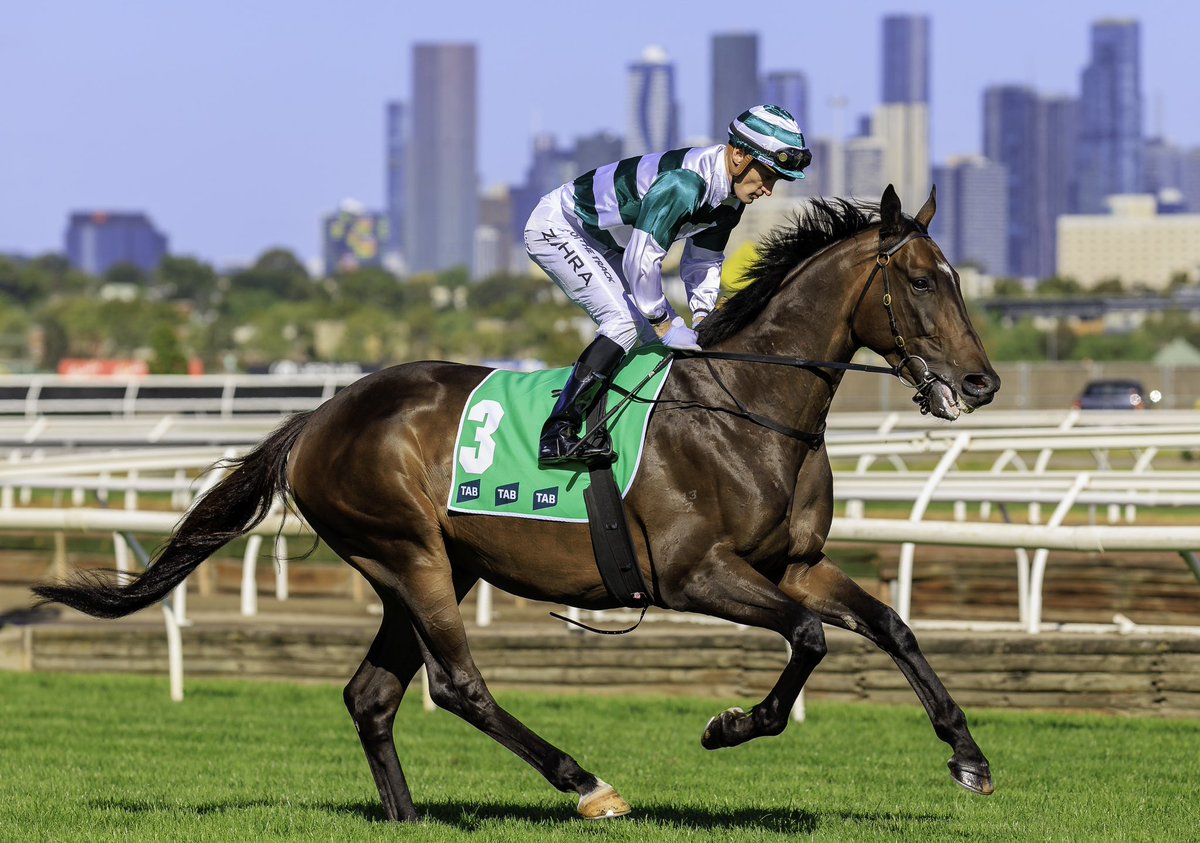 Future History has been entered at Rosehill Gardens this Saturday in the Group 3 Neville Sellwood with a prize pot worth AUD$250,000 🏇🇦🇺

#GlobalThoroughbreds #TakingRacingDownUnder #RacehorseOwnership