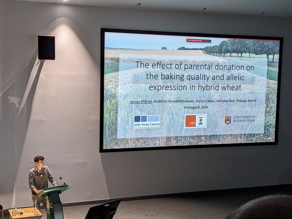 Really proud of James Milson @JohnInnesCentre presenting his PhD work on baking quality in hybrid wheat #monogram24. Exciting to see the story coming together!