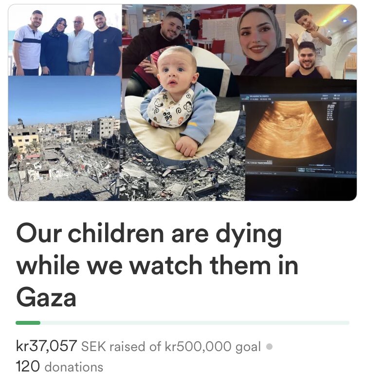 there’s still a LONG way to go with this campaign, a family consisting of young children, a pregnant woman and chronically ill elderly parents needs our help 🚨 KEEP SHARING + DONATING 🇵🇸

you can donate with any currency &amp; it automatically converts to kr

gofund.me/51a295fe