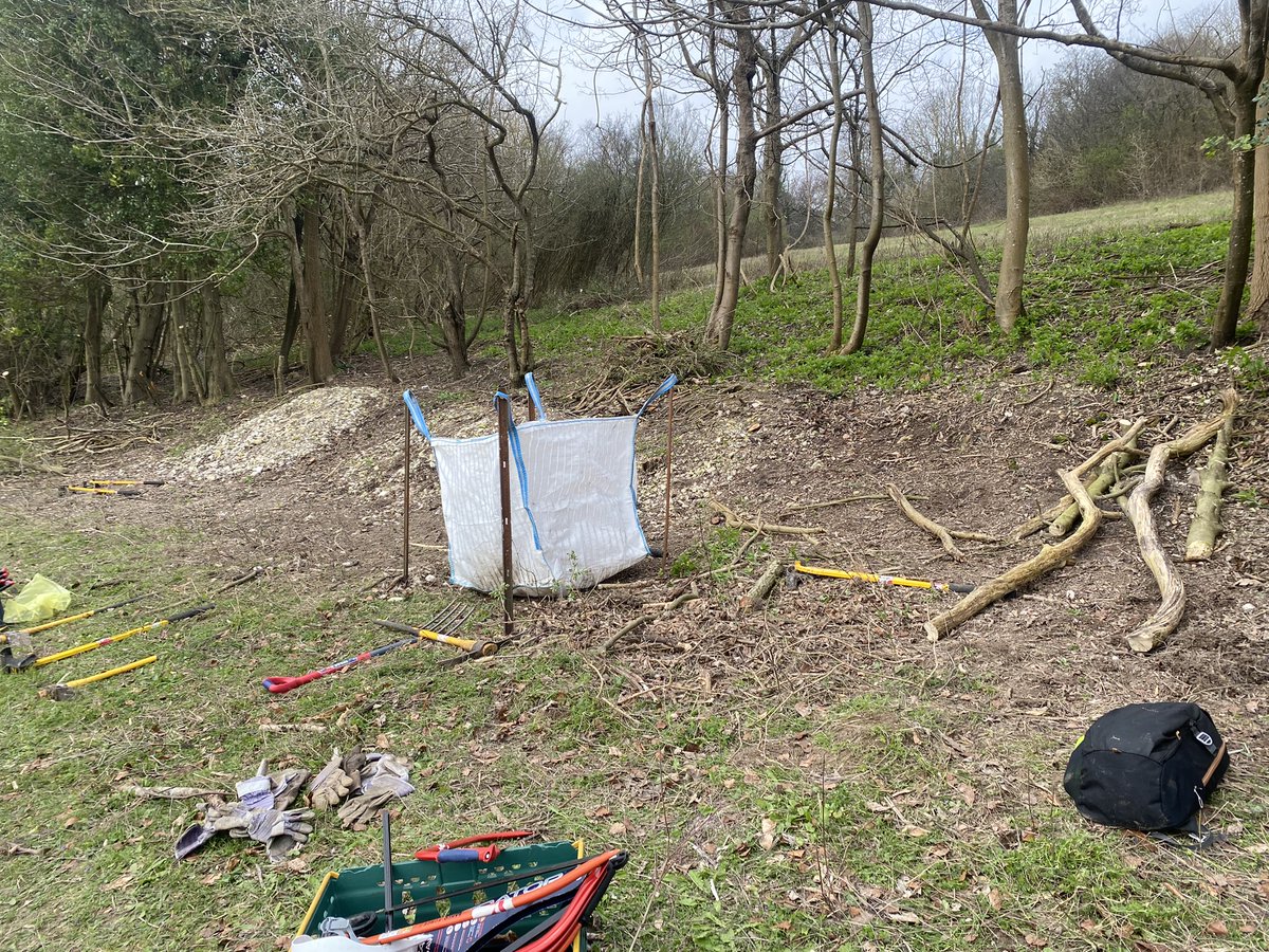 BCConservators's tweet photo. Last Thurs volunteers helped to tidy up an area of scrub clearance on #ParkDowns. Our no.s were bolstered by @Amea_BEregion joining us.
The new scrape will connect 2 areas of species-rich grass and improve the vista of the site๐ผ
๐ for joining us!
https://t.co/4Kh2Qw4jc5 https://t.co/nvcRrFALsG