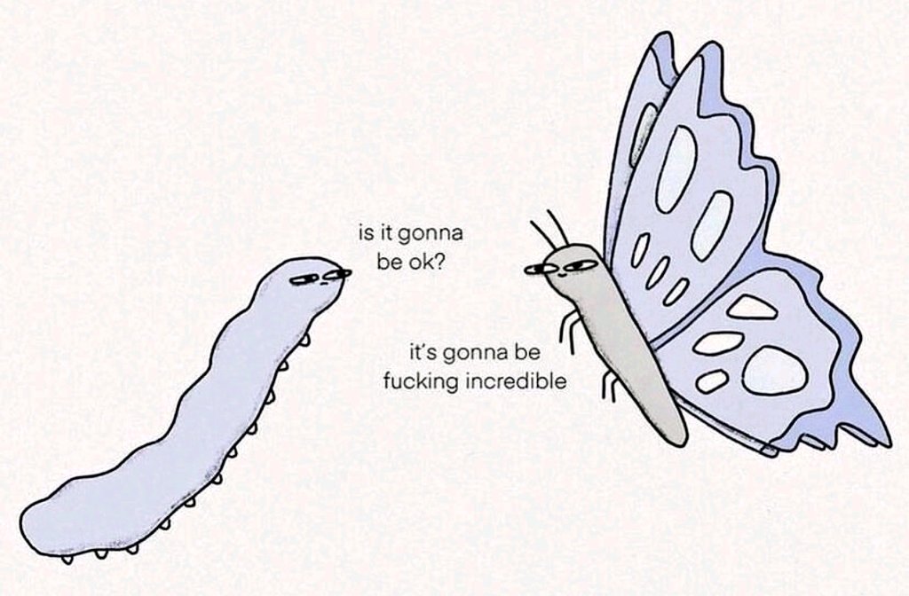 Today's inspirational butterfly quote 🦋🦋🦋