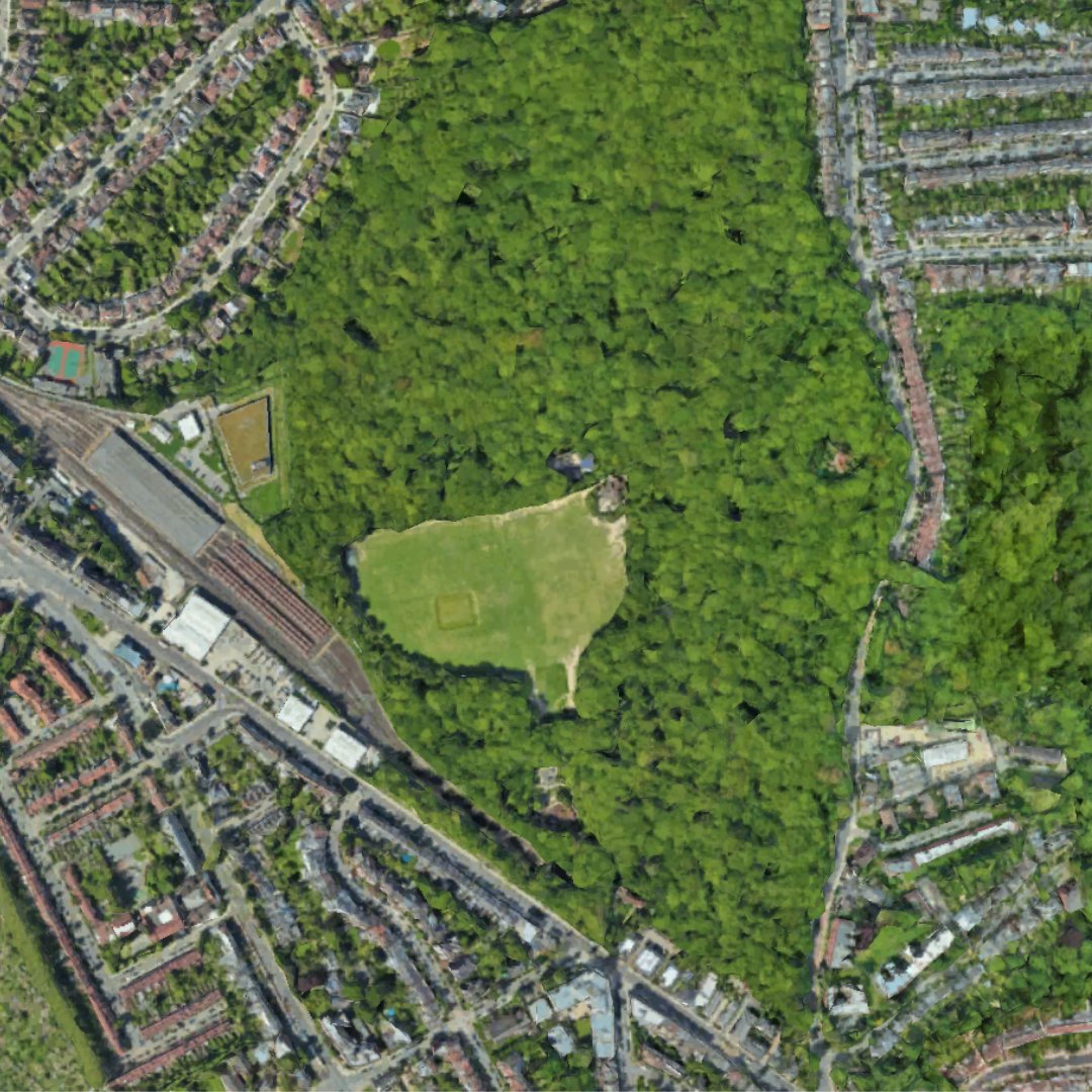 Highgate Wood 1946 - 2024. Did you know Highgate Wood is a Site of Metropolitan Importance for Nature Conservation. It is also listed as one of only eight Green Heritage Sites in London. #HighgateWood