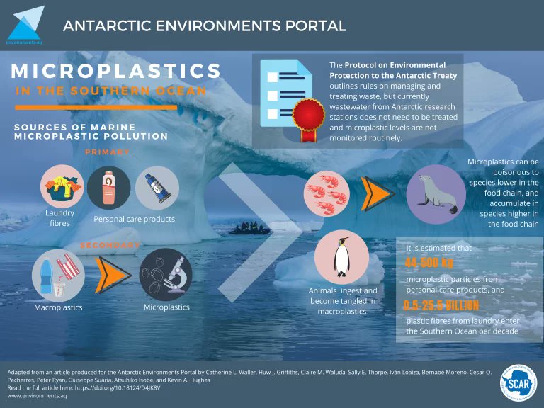 antarcticlegacy@sun.ac.za tweet media