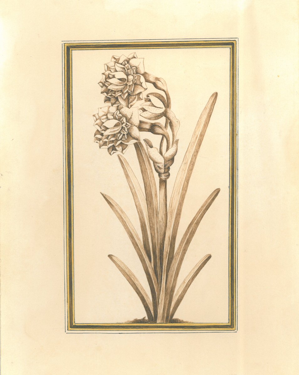 objkt.com/tokens/KT1SntW… 
Black flowers
 This work is inspired by the pollution of the air, causing birds not to come to the city due to air pollution.
5 editions
3 xtz
#art #NFT #NFTs #NFTCommunity #painting #iranianpainting #flowerandbird