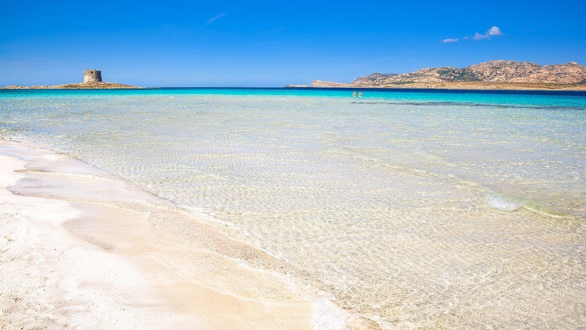 SardegnaG's tweet photo. La #Pelosa di Stintino conquista TripAdvisor, secondo gli utenti del popolare sito di #viaggi è la seconda #spiaggia più bella d’Italia doopo quella dei Conigli, a Lampedusa - che ne pensate? #mare #estate #Sardegna https://t.co/z4WT98rAQv https://t.co/7ctWqc37bh