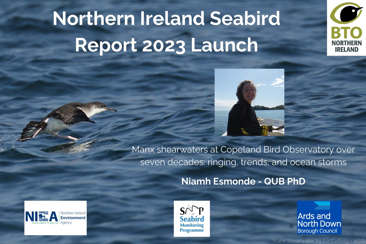We're delighted to have Niamh Esmonde joining us at the NI Seabird Report 2023 Launch on 18th April to tell us about her PhD research on Manx Shearwater. There's still time to sign up for free here: bto.org/community/even…