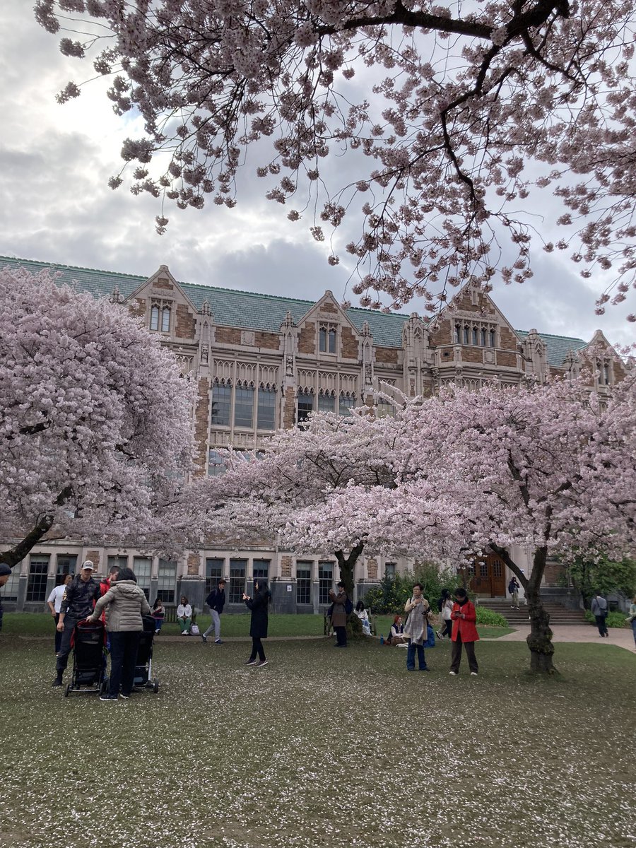 1125NAKAc's tweet photo. 素敵なキャンパスin University of Washington https://t.co/A8M72OLbZu