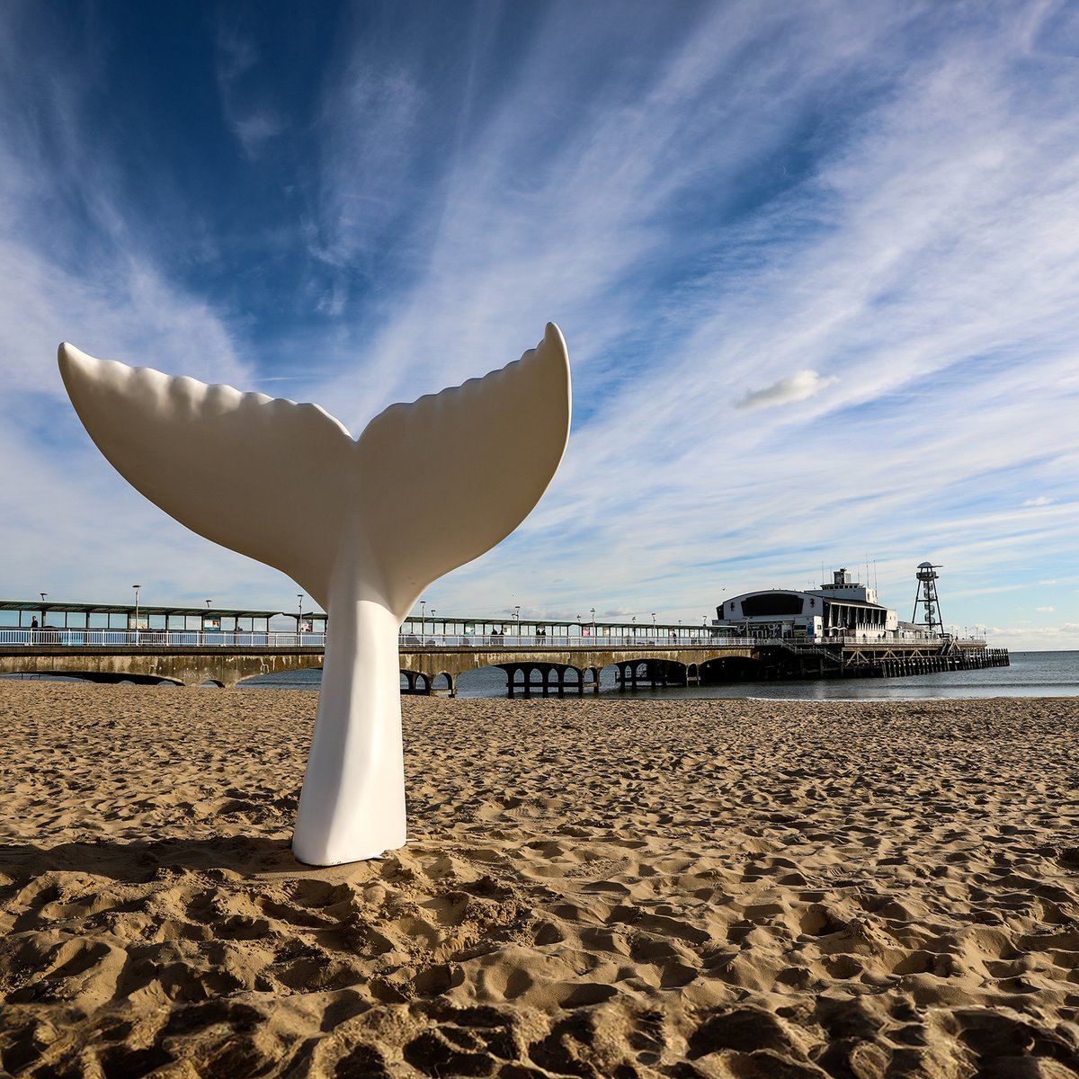 wearefathom's tweet photo. We are immensely proud to have been asked to be the creative partner by Julia’s House for “The Great Tail Trail” - an adventure of 40 mermaid tail sculptures making a splash throughout the BCP area in 2025, raising vital funds for Julia’s House children’s hospice.#greattailtrail https://t.co/VioNi90nrI
