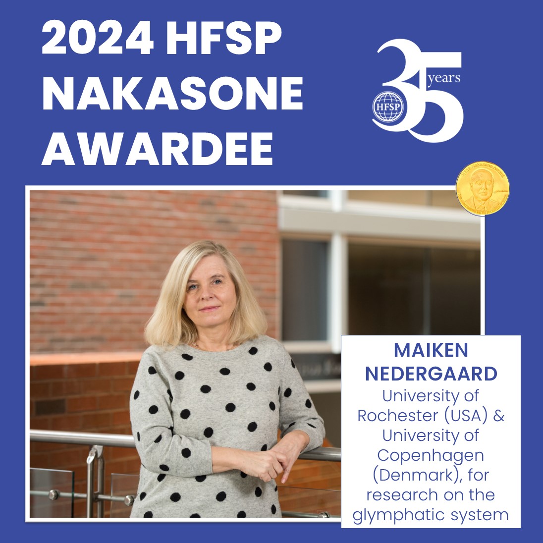 🤩Exciting News!🌟Maiken Nedergaard wins the 2024 #HFSPNakasoneAward for her groundbreaking research on the glymphatic system, shedding light on the vital role of sleep in brain health. Learn more: bit.ly/3ITheuR Congrats @NedergaardLab!👏👏👏🥳 #HFSP