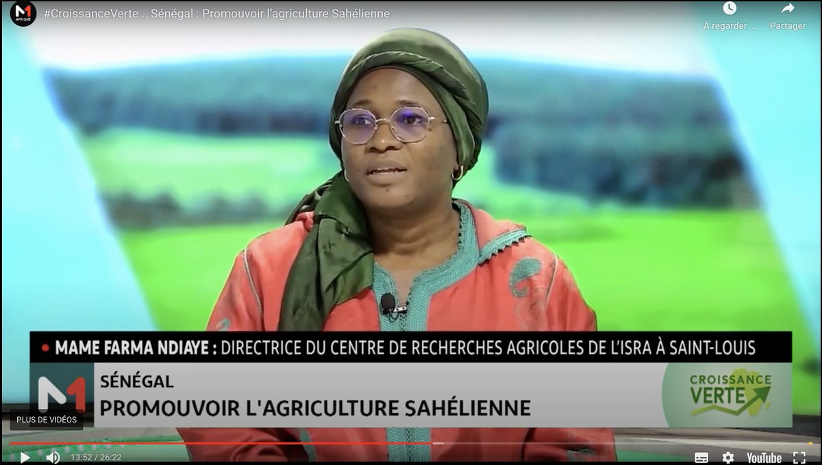DISSEM INN (@disseminn) on Twitter photo Découvrez les coulisses de notre dernier atelier régional inter-DeSIRA sur la durabilité et l'expansion des innovations agricoles au Sahel à travers ce reportage📹 captivant de <a href="/Medi1/">Medhat 🇪🇬 𓅓𓅂𓂧𓉔𓄿𓏏</a> suivi d'un entretien🎙 exclusif avec Dr. Mame Farma Ndiaye.
Lien 🔗📽shorturl.at/enDF8 Découvrez les coulisses de notre dernier atelier régional inter-DeSIRA sur la durabilité et l'expansion des innovations agricoles au Sahel à travers ce reportage📹 captivant de <a href="/Medi1/">Medhat 🇪🇬 𓅓𓅂𓂧𓉔𓄿𓏏</a> suivi d'un entretien🎙 exclusif avec Dr. Mame Farma Ndiaye.
Lien 🔗📽shorturl.at/enDF8