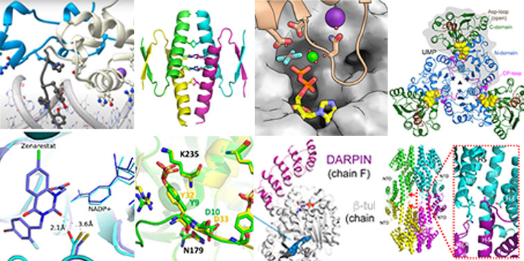 ALBAsynchrotron's tweet photo. #synchrotronscience
More than 1,000 protein structures solved at ALBA 🧬 Number 1,000 is part of a study led by @CSIC scientists that can contribute to design new therapies
https://t.co/RE9HKclNCF
#ICTSNews https://t.co/RrTtdaOerE