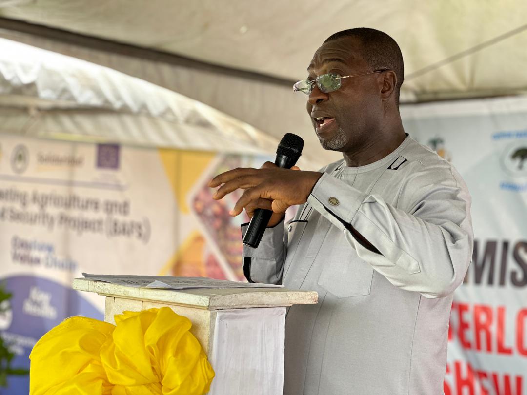Solidaridad_wa's tweet photo. 1/2 "The introduction of improved hybrid varieties of cocoa, coffee and cashew seedlings under the @BafsLeone project has revitalized cash crop cultivation in Sierra Leone and enhanced productivity," says Isaac Gyamfi, Regional director of @Solidaridad_wa. https://t.co/zfXudsMiaY