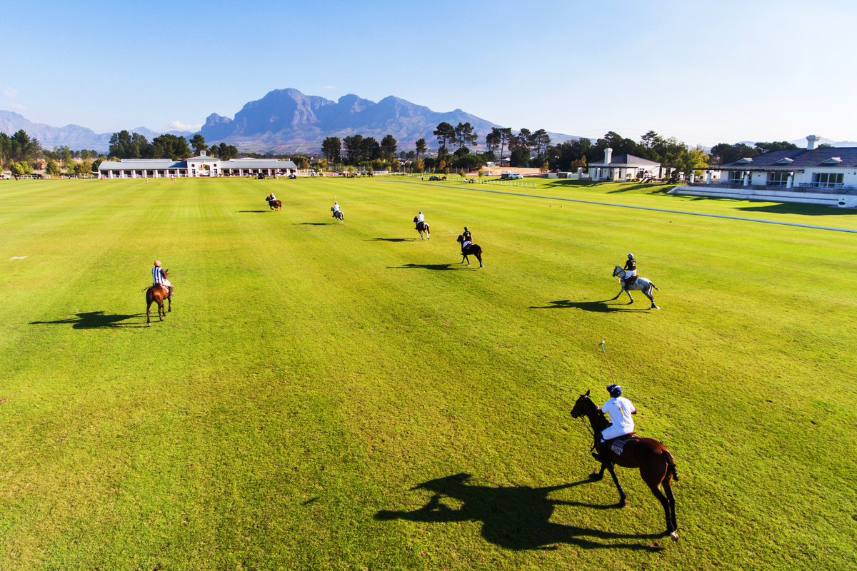 valdevieestate tweet picture