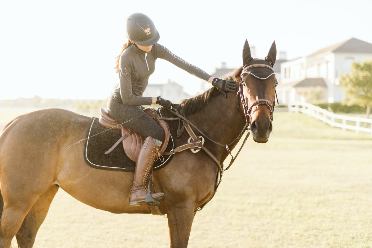 valdevieestate's tweet photo. A great horse will change your life. The truly special ones define it. 🐴✨

Val de Vie Estate is one of the most spectacular equestrian and polo venues, catering for all disciplines.

Discover the beauty of an Estate with a focus on polo: https://t.co/d0e7CCnhaY https://t.co/EFihYgEDWK