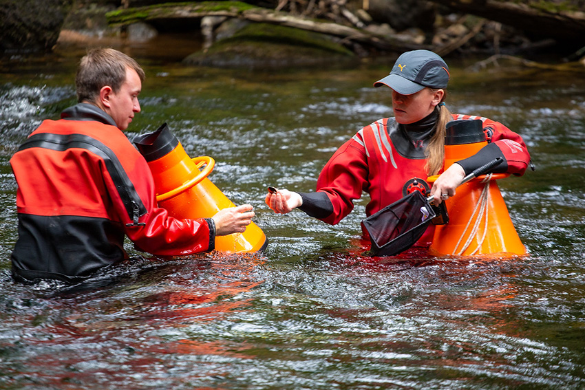 #Partnerships are key to tackle the #BiodiversityCrisis Our #mussel #breeding and #reintroduction work is funded &amp; supported by a range of fantastic people from <a href="/EnvAgency/">Environment Agency</a>, <a href="/NaturalEngland/">Natural England</a> &amp; @UnitedUtilities Read about it in our new paper 👇
mdpi.com/1424-2818/16/3…