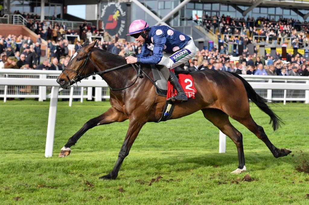Crest Racing will also be joining us for our RSA day tomorrow, come and say hello 🤩 'On the Crest of Wave” Come and join the fun and success in their friendly owner focused syndicates. cresthorseracing.co.uk