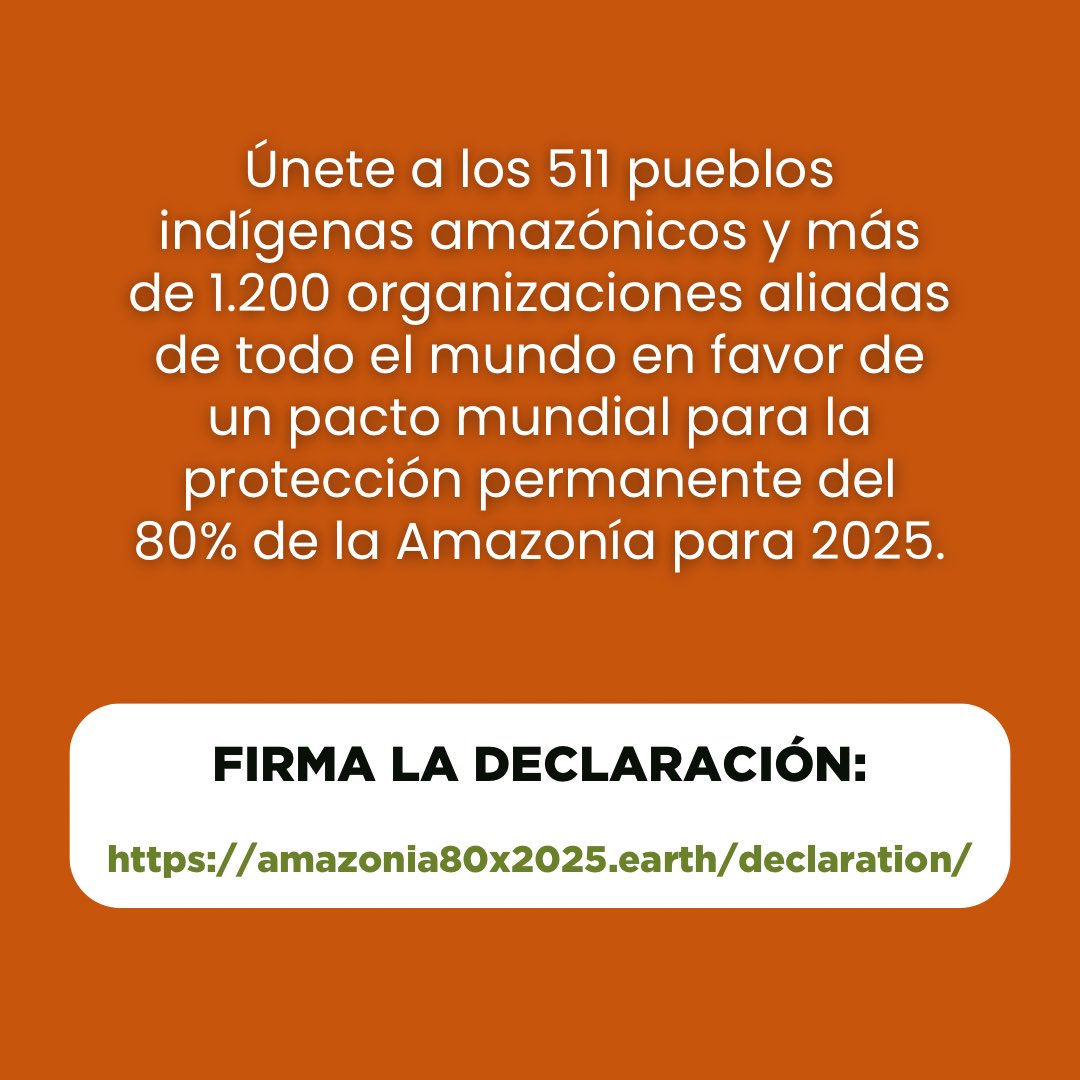 ¿Sabías que la Amazonía es el mayor regulador climático del 🌎? 🚨 Y en la actualidad debido a la explotación y procesos extractivistas está dejando de cumplir esta función efectivamente ‼️ Estamos cerca del PUNTO DE NO RETORNO, el momento de actuar es ahora ⏰ Únete a COICA…