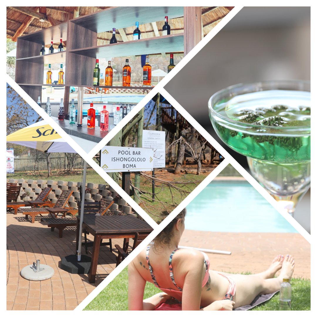 EuphoriaGolfEst's tweet photo. Before the leaves fall, let's make memories that last all year long! ππ«
https://t.co/5AtCZp5k7o
Email: info@euphoriahydro.co.za
Whatsapp: 082 076 6275
#FallForUs #OutdoorSeasonFinale #MakingMemories https://t.co/5oNWGhPQJh
