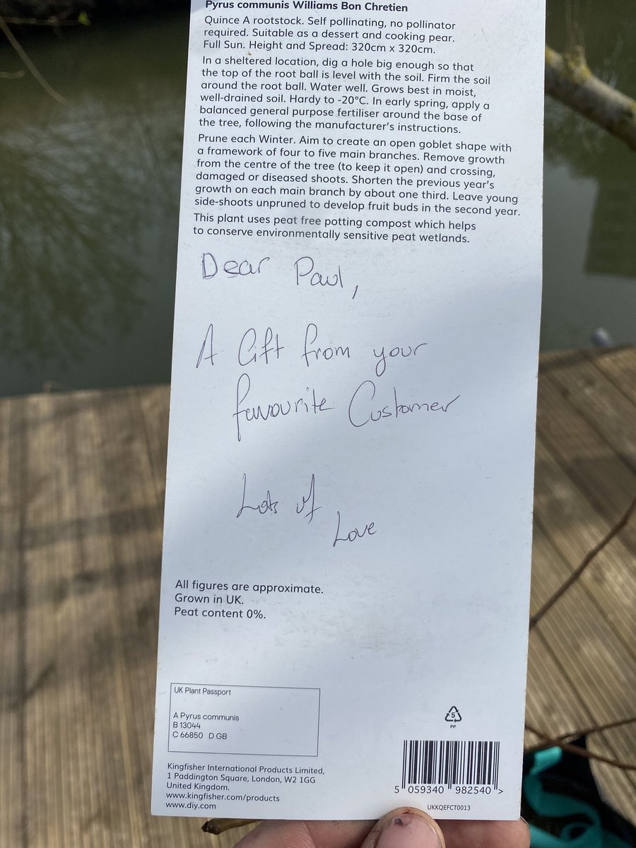 A local resident in Barking uses riverside benches River Roding Trust have installed so often, I jokingly call her “our favourite customer”. I told her recently I was sad that vandals had destroyed a lovely fruit tree we’d planted. Last night I came home to find this by my gate